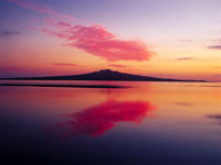 rangitoto-island-c-Fay-Looney.jpg